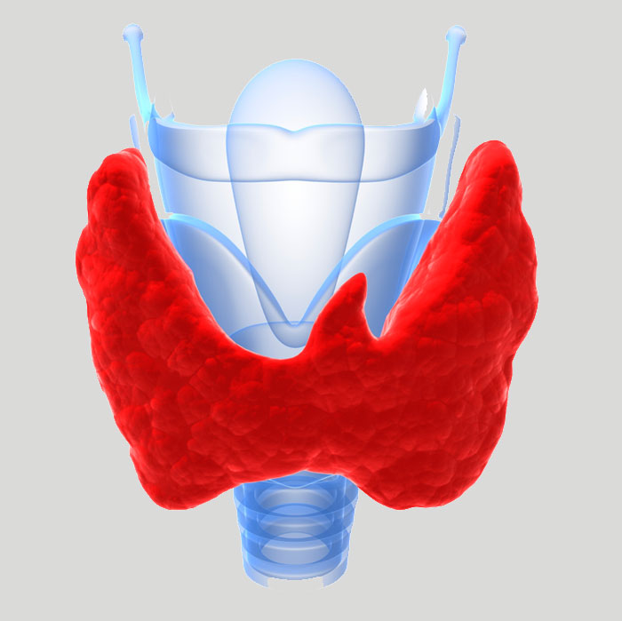 تاثیر عنصر مس بر سلامت تیروئید