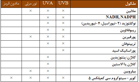 اثرات اشعه ماورا بنفش بر ملکولهای بدن