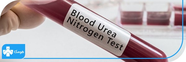 blood urea nitrogen در آزمایش خون چیست