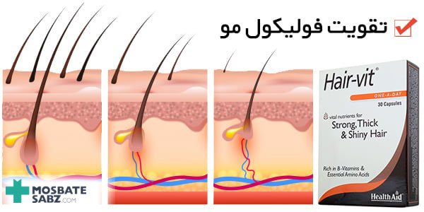 تقویت فولیکول مو